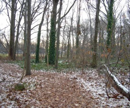 Constitution Grove Park
