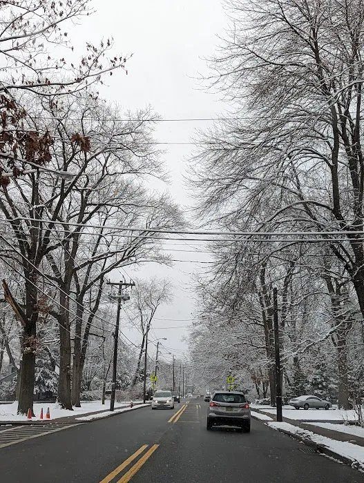 Constitution Grove Park Picture 2