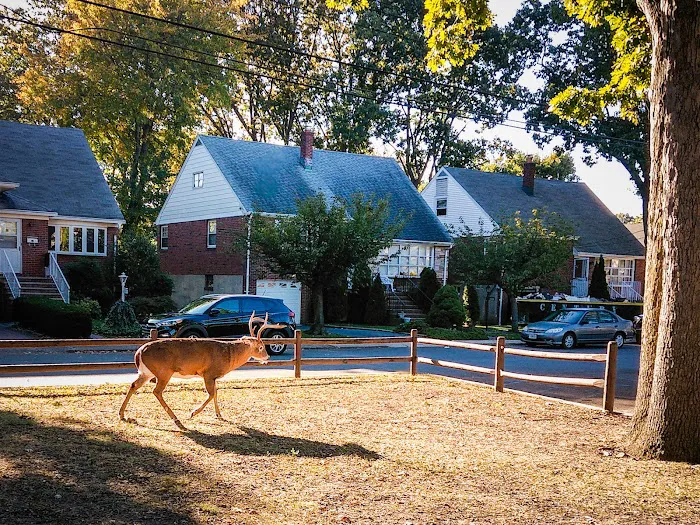 Inwood Terrace Park Picture 4
