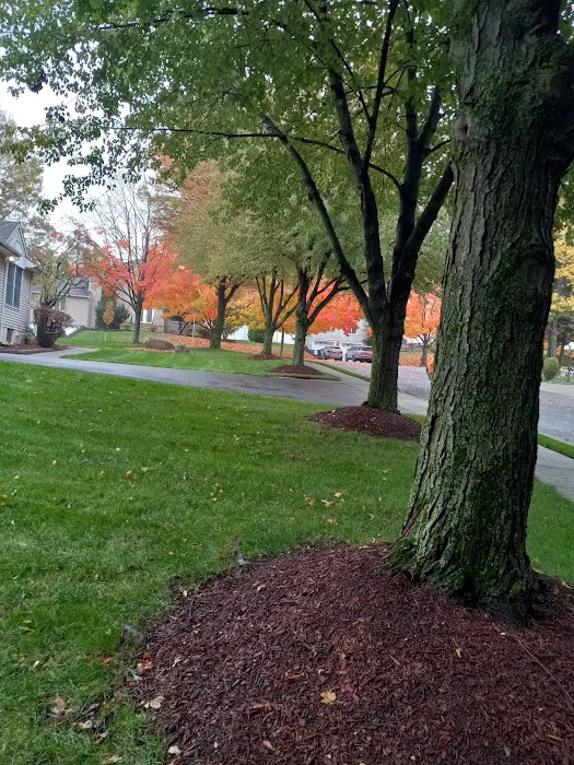 Petruska Park Picture 7