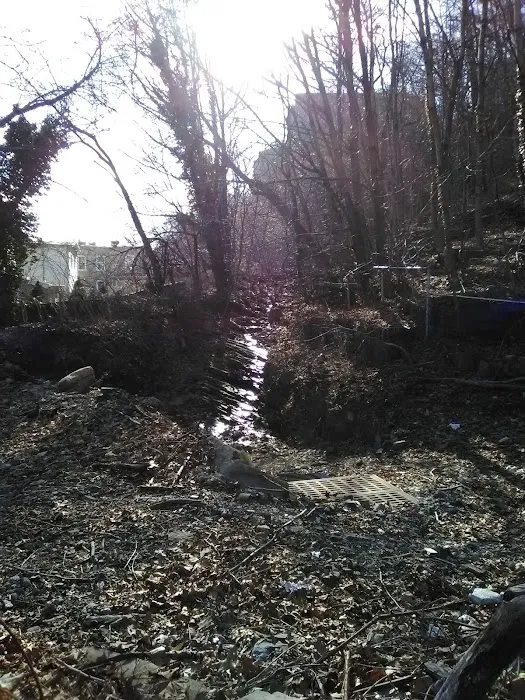 Duck Duck Park Picture 10