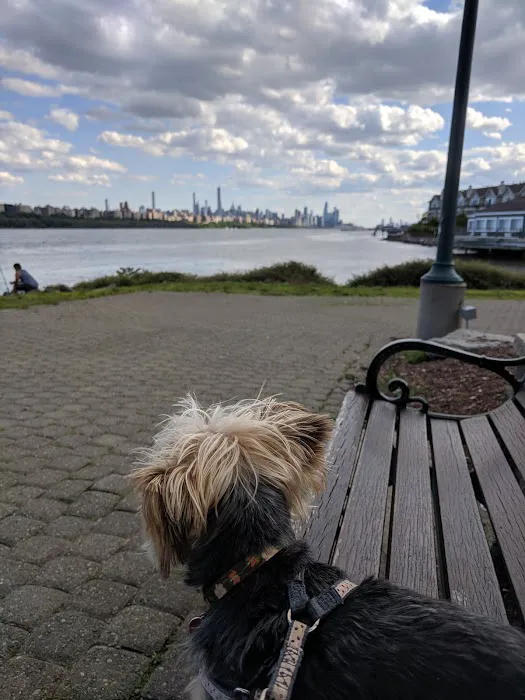 Edgewater Dog Park Picture 4