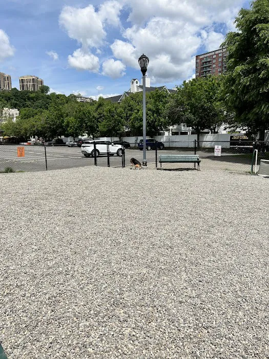 Edgewater Dog Park Picture 6
