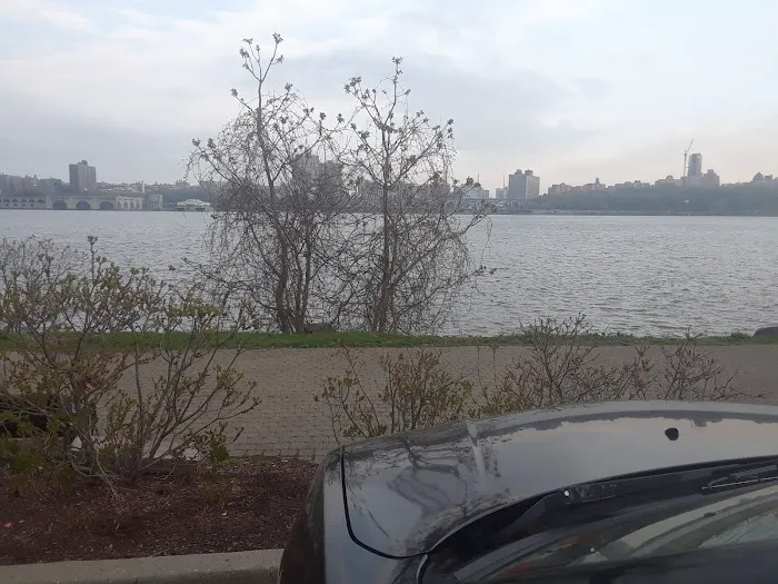 Edgewater Dog Park Picture 10