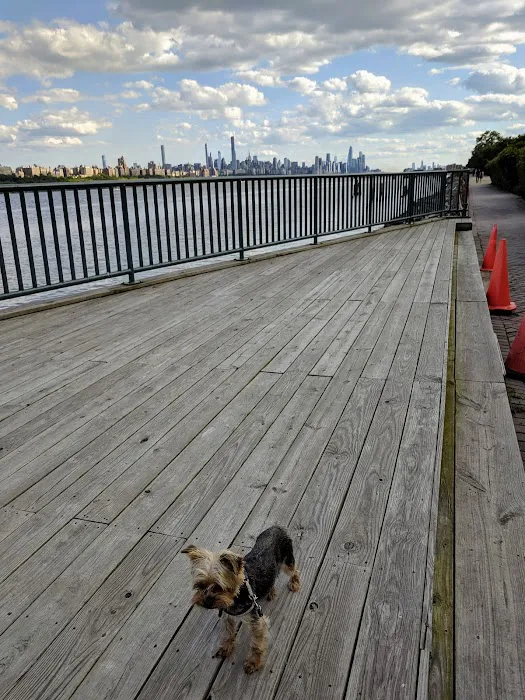 Edgewater Dog Park Picture 1