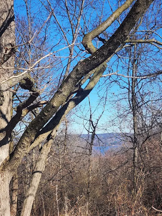 Nike Overlook Park Picture 5