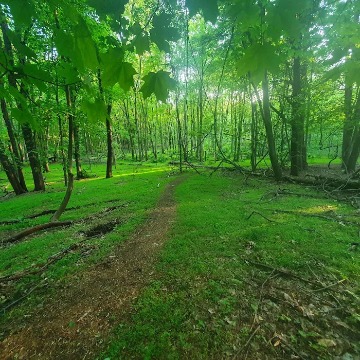 Poplar Road Wildlife Sanctuary Picture 3