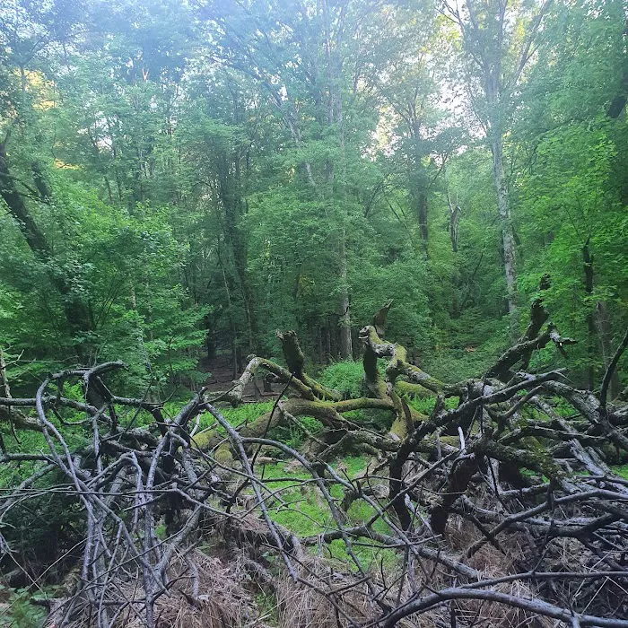 Poplar Road Wildlife Sanctuary Picture 2