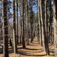 Poplar Road Wildlife Sanctuary ico
