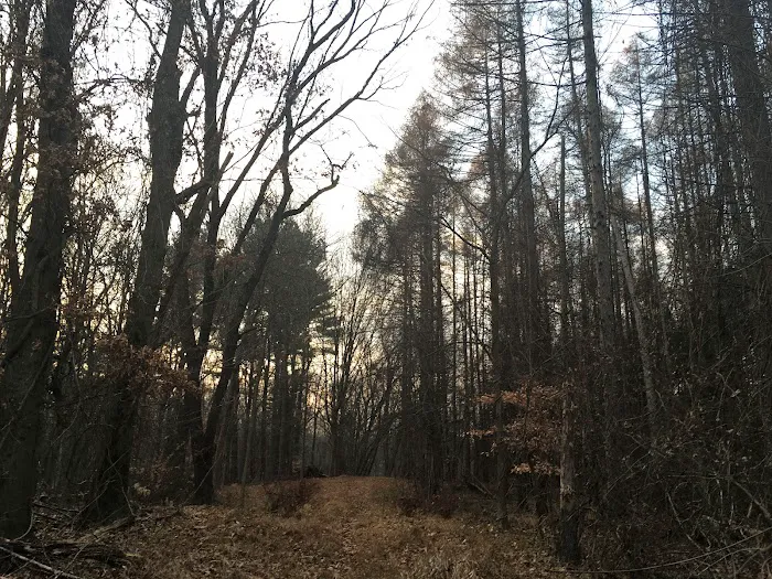 Poplar Road Wildlife Sanctuary Picture 6