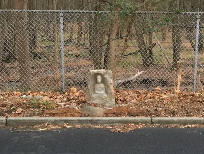 Poplar Road Wildlife Sanctuary Picture 8