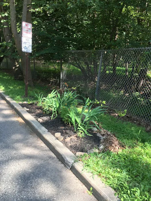 Poplar Road Wildlife Sanctuary Picture 10
