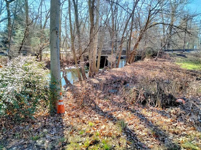 Baylor Massacre Burial Site Picture 1