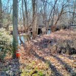 Baylor Massacre Burial Site