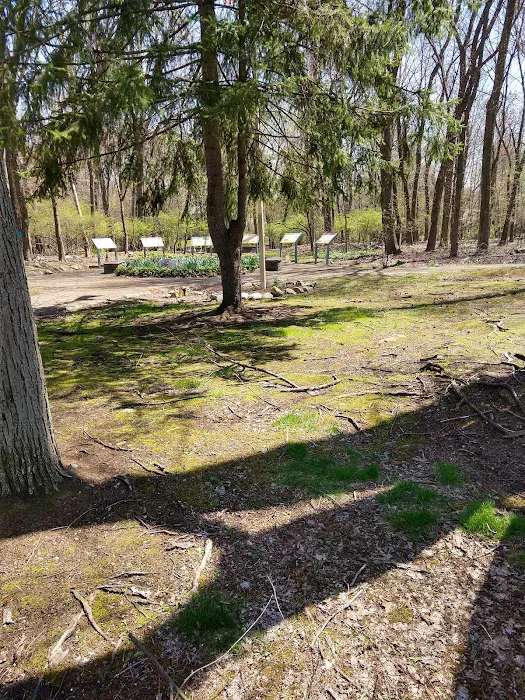 Baylor Massacre Burial Site Picture 10