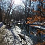 Bonnabel Nature Park