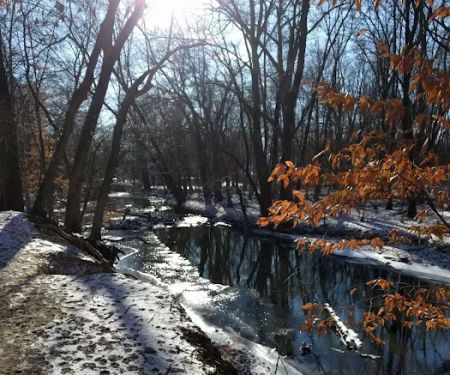 Bonnabel Nature Park
