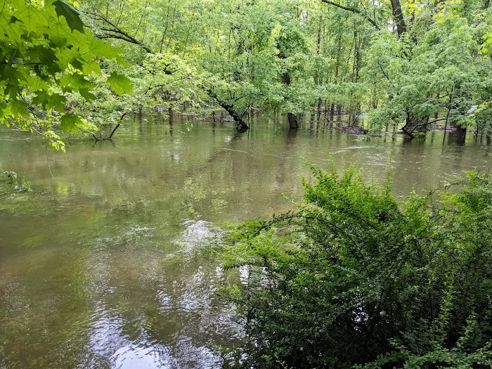 Bonnabel Nature Park Picture 6