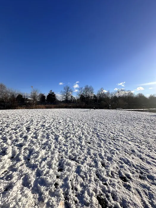 Orangetown Dog Park Picture 4