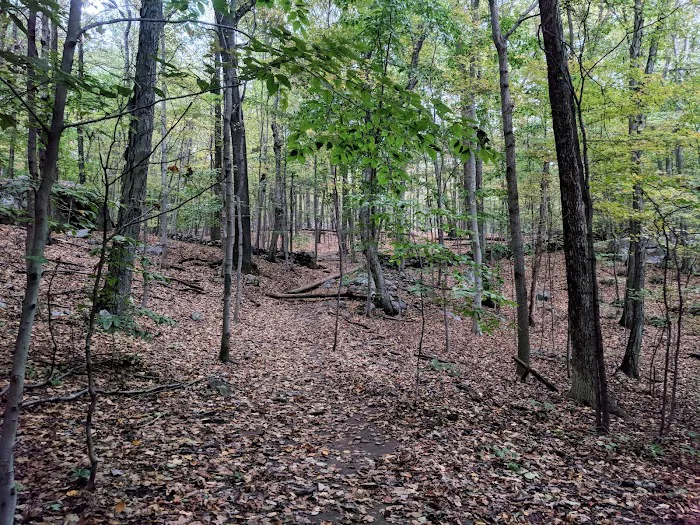 Hardscrabble Wilderness Area Picture 8