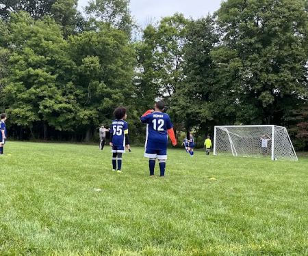 The Club Fields