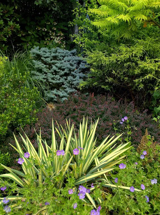 Chappaqua Pocket Park Picture 3