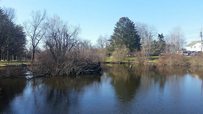 Wampus Brook Park Picture 4