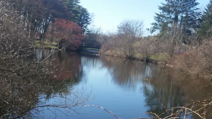 Wampus Brook Park Picture 5