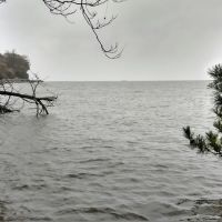 Scarborough Park ico