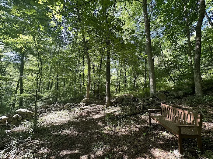GLTrust Converse Brook Preserve Picture 4