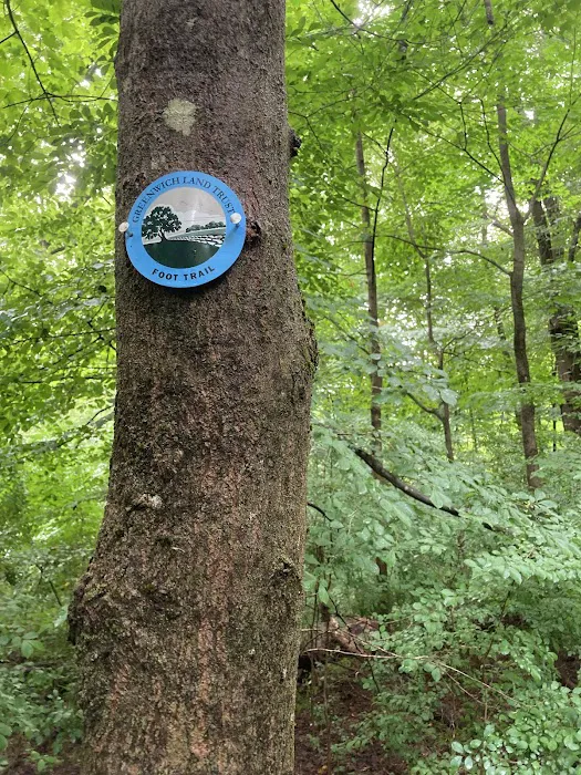 GLTrust Converse Brook Preserve Picture 6