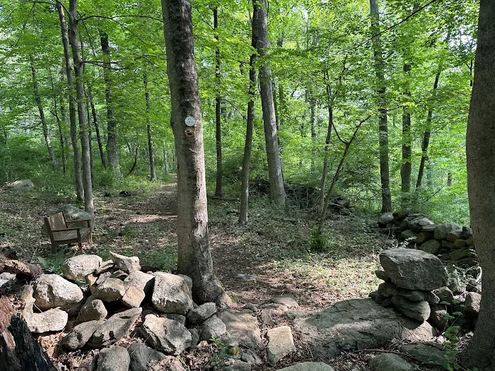 GLTrust Converse Brook Preserve Picture 9