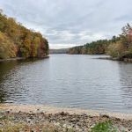 The Eugene and Agnes Meyer Nature Preserve