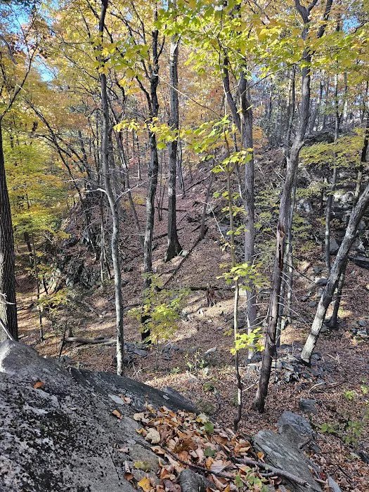 The Eugene and Agnes Meyer Nature Preserve Picture 6