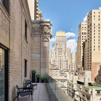 AKA Central Park ico
