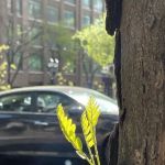 East 47th Street
