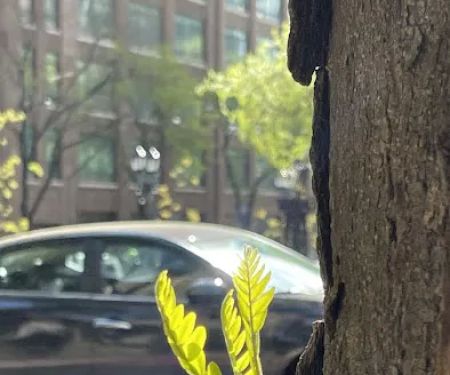 East 47th Street