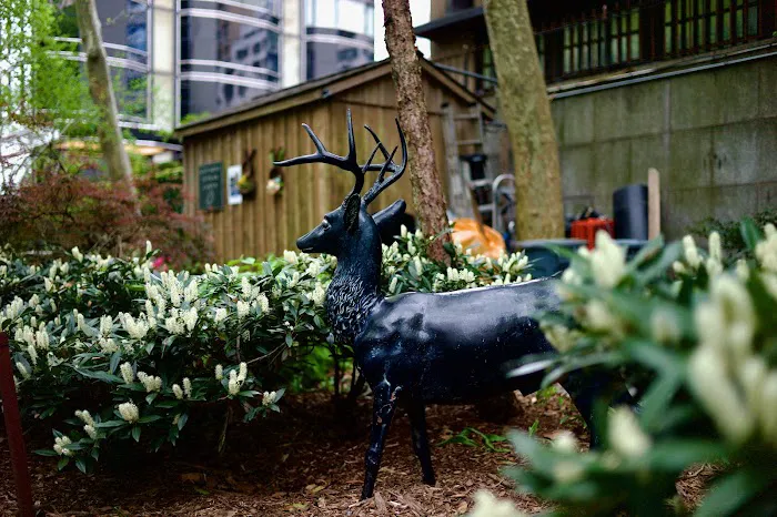 Katharine Hepburn Garden Picture 1