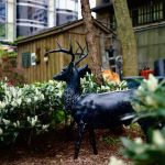 Katharine Hepburn Garden
