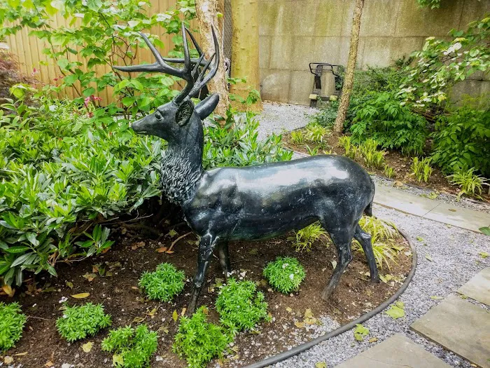 Katharine Hepburn Garden Picture 10