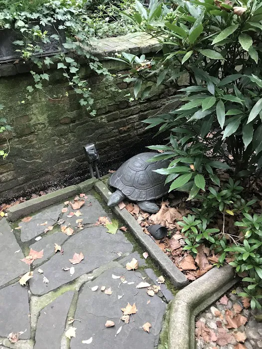Turtle Bay Gardens Picture 10