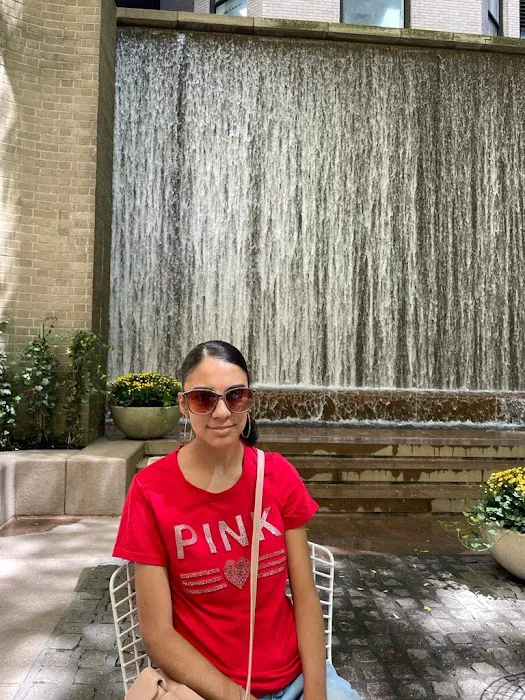 Paley Park Picture 4