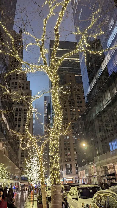 Paley Park Picture 5
