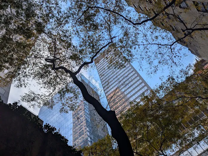 Paley Park Picture 6