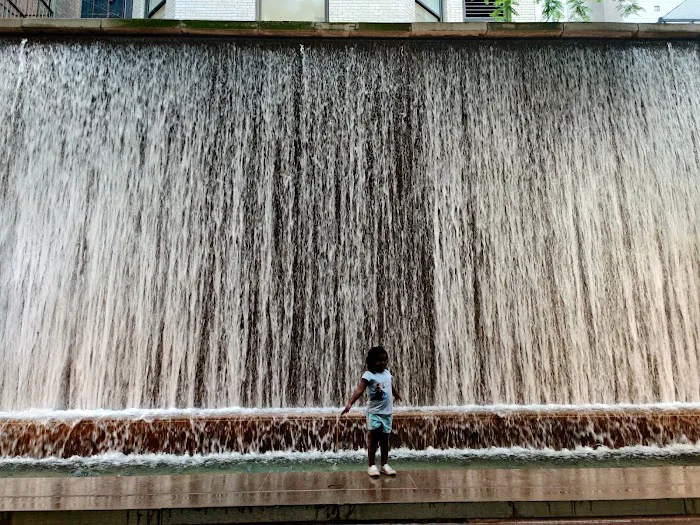 Paley Park Picture 2