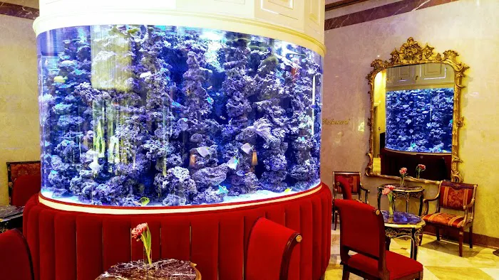 The Kimberly Hotel Picture 9