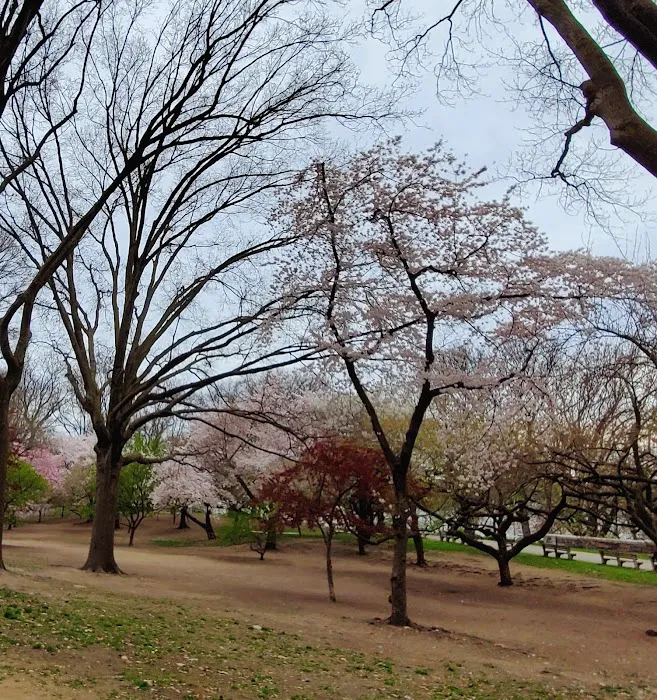 Joan of Arc Park Picture 2