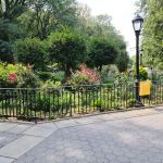 The Garden People