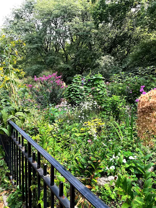 The Garden People Picture 4