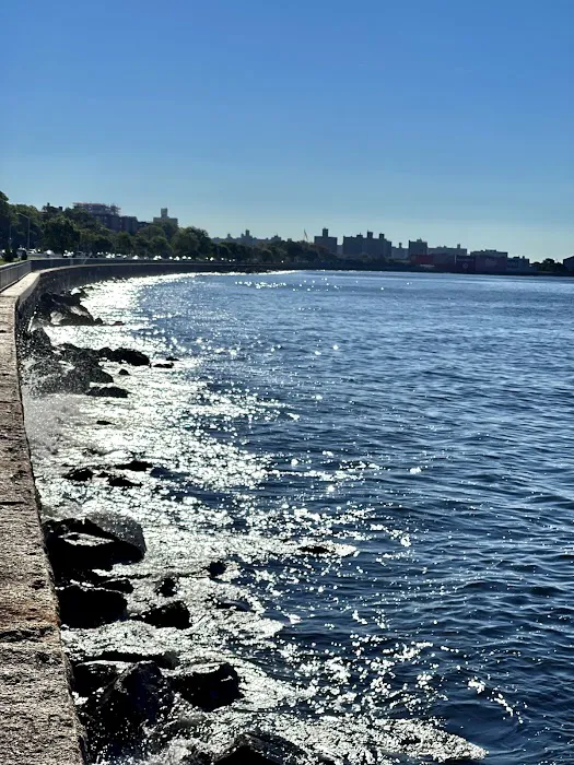 Bath Beach Park Picture 3